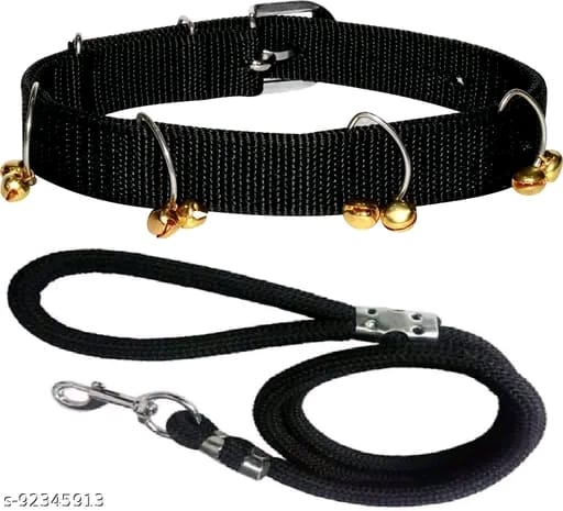 Blue padded nylon dog collar with quick-release buckle shown on a Golden Retriever